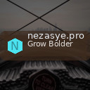 nezasye.pro